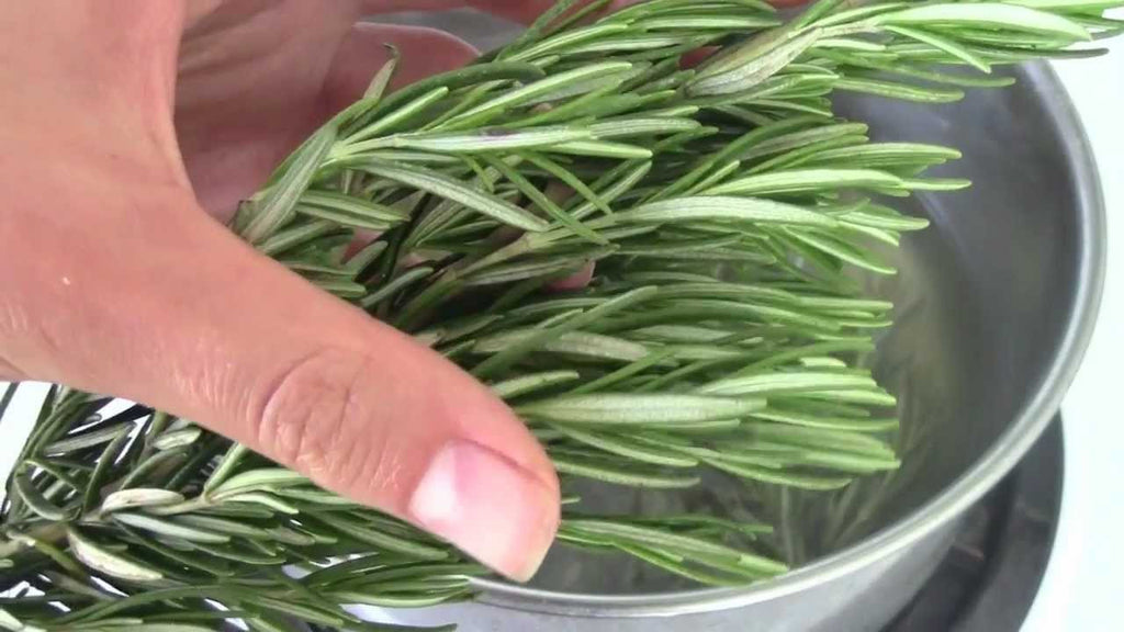 HERBAL COSMETIC RECIPES - Rosemary Hair Rinse