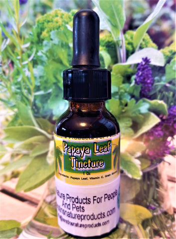 Papaya Leaf Herbal Tincture - Kerstin's Nature Products