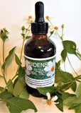 Bidens Pilosa Herbal Tincture Extract ~Multiple Sizes - Kerstin's Nature Products