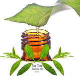 Tea Tree Essential Oil (Melaleuca Alternifolia) - Kerstin's Nature Products