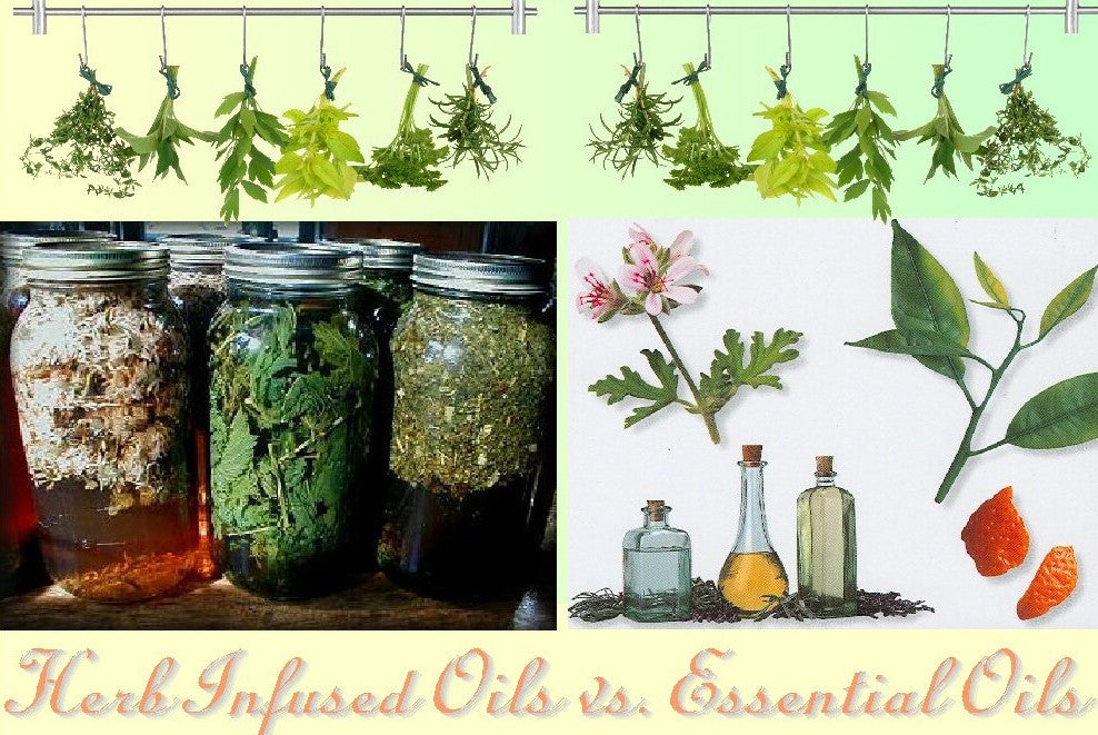 WHAT IS THE DIFFERENCE BETWEEN ESSENTIAL OILS AND HERB INFUSED OILS?