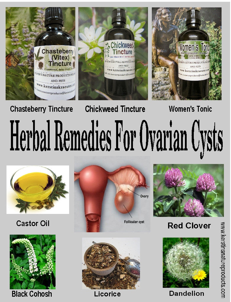 BEST HERBAL REMEDIES FOR OVARIAN CYSTS