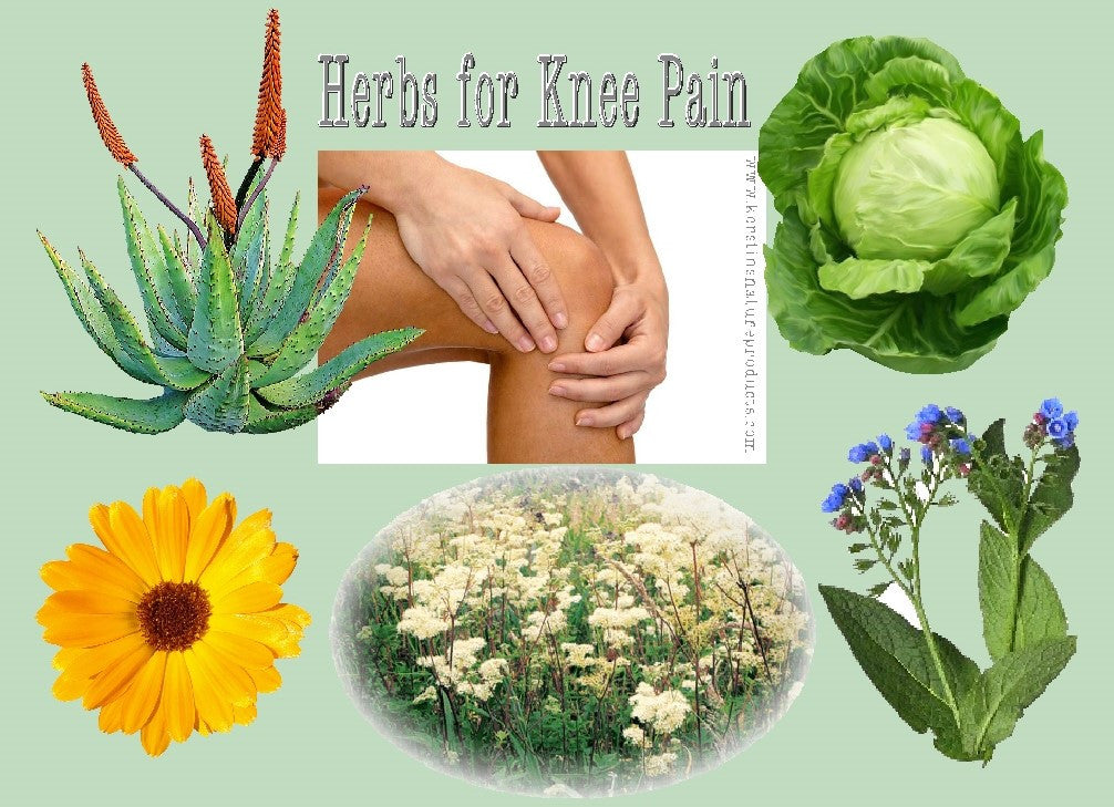 HERBS FOR KNEE PAIN - TACKLE WINTER JOINT PAIN