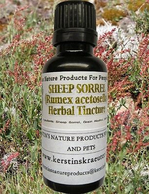 Sheep Sorrel Herbal Tincture ~ Multiple Sizes - Kerstin's Nature Products