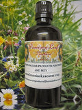 Damiana Leaf Tincture Extract ~ 4 oz with glass dropper - Kerstin's Nature Products