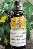 Damiana Leaf Tincture Extract ~Multiple Sizes - Kerstin's Nature Products