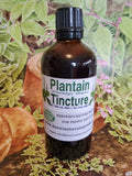 Plantain Leaf Herbal Tincture - Kerstin's Nature Products For People And Pets
