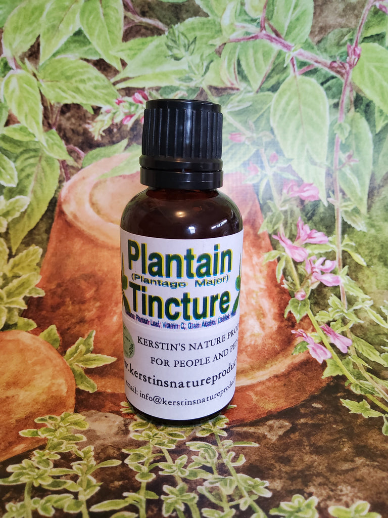 Plantain Leaf Herbal Tincture