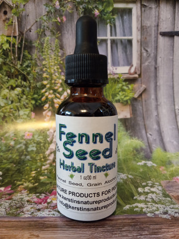 Fennel Seed Herbal Tincture - Kerstin's Nature Products