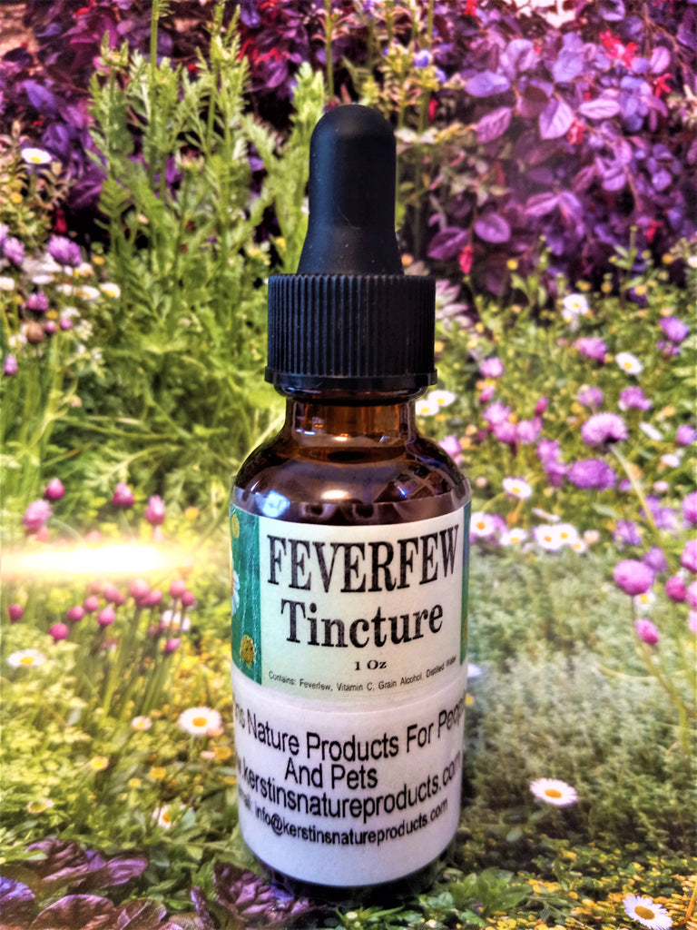 Feverfew Herbal Tincture Extract - Kerstin's Nature Products