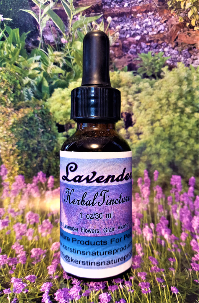 Lavender Flower Herbal Tincture Extract - Kerstin's Nature Products