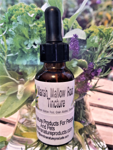 Marshmallow Root Extract - Kerstin's Nature Products