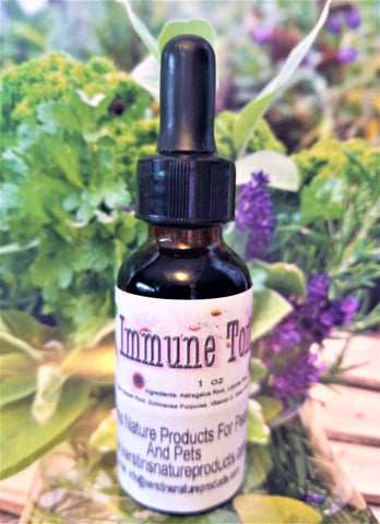 Immune Tonic Natural Herbal Tincture - Kerstin's Nature Products