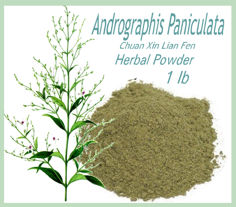 Andrographis Paniculata (Chuan Xin Lian Fen) Powder - Kerstin's Nature Products