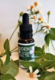 Bidens Pilosa Herbal Tincture Extract ~Multiple Sizes - Kerstin's Nature Products