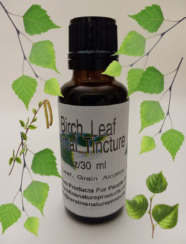 Birch Leaf Tincture - Kerstin's Nature Products for People and Pets