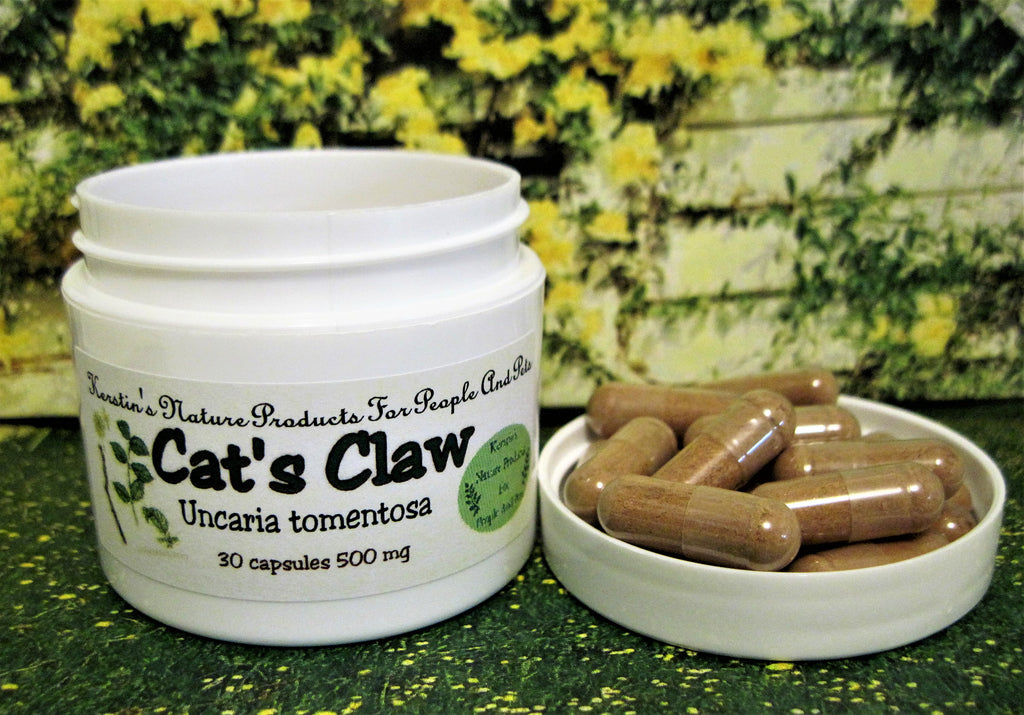 Cat's Claw Root (Uncaria tomentosa), 500 mg, 30 capsules - Kerstin's Nature Products