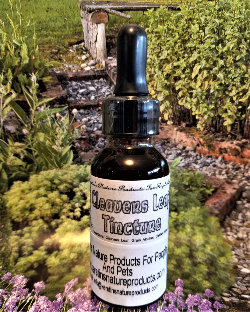 Cleavers Leaf Herbal Tincture - Kerstin's Nature Products
