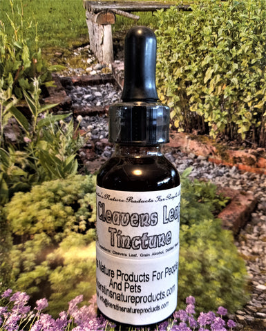 Cleavers Leaf Herbal Tincture - Kerstin's Nature Products