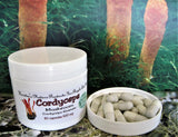 Cordyceps (Cordyceps Sinensis) Capsules, 520 mg, 30 Capsules - Kerstin's Nature Products