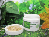 Ginkgo Biloba Leaf 60 mg 30 Capsules - Kerstin's Nature Products