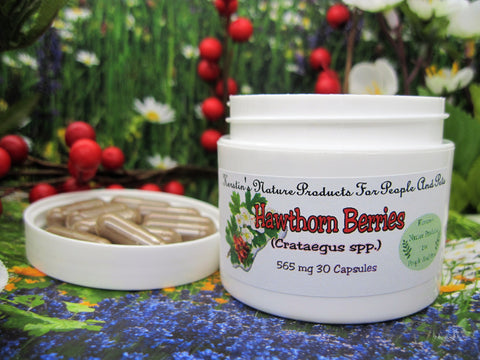 Hawthorn Berries (Crataegus spp.) 565 mg 30 Capsules - Kerstin's Nature Products