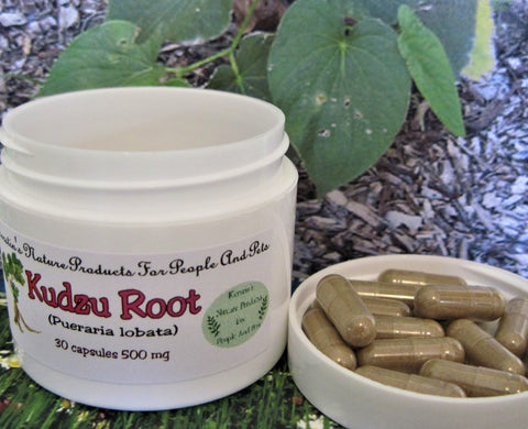 Kudzu Root (Pueraria lobata) 500 mg 30 Capsules - Kerstin's Nature Products