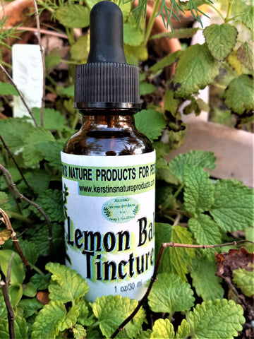 Lemon Balm Herbal Tincture Extract - Kerstin's Nature Products