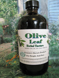 Olive Leaf Herbal Tincture ~ Multiple Sizes - Kerstin's Nature Products
