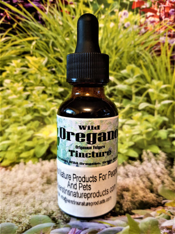Wild Oregano Herbal Tincture Extract (Origanum Vulgare) - Kerstin's Nature Products