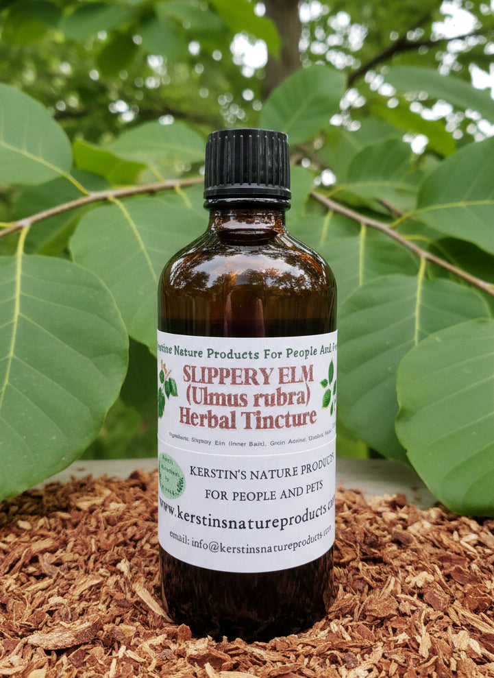 Slippery Elm Extract - Kerstin's Nature Products