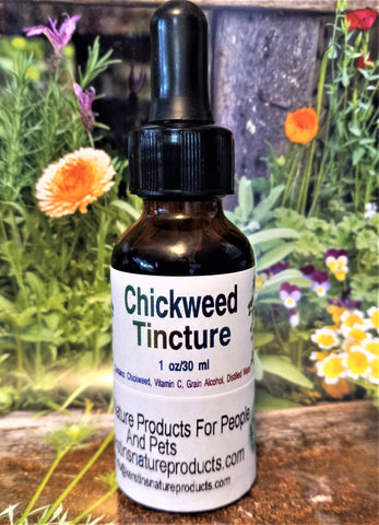 Chickweed Herbal Tincture - Kerstin's Nature Products