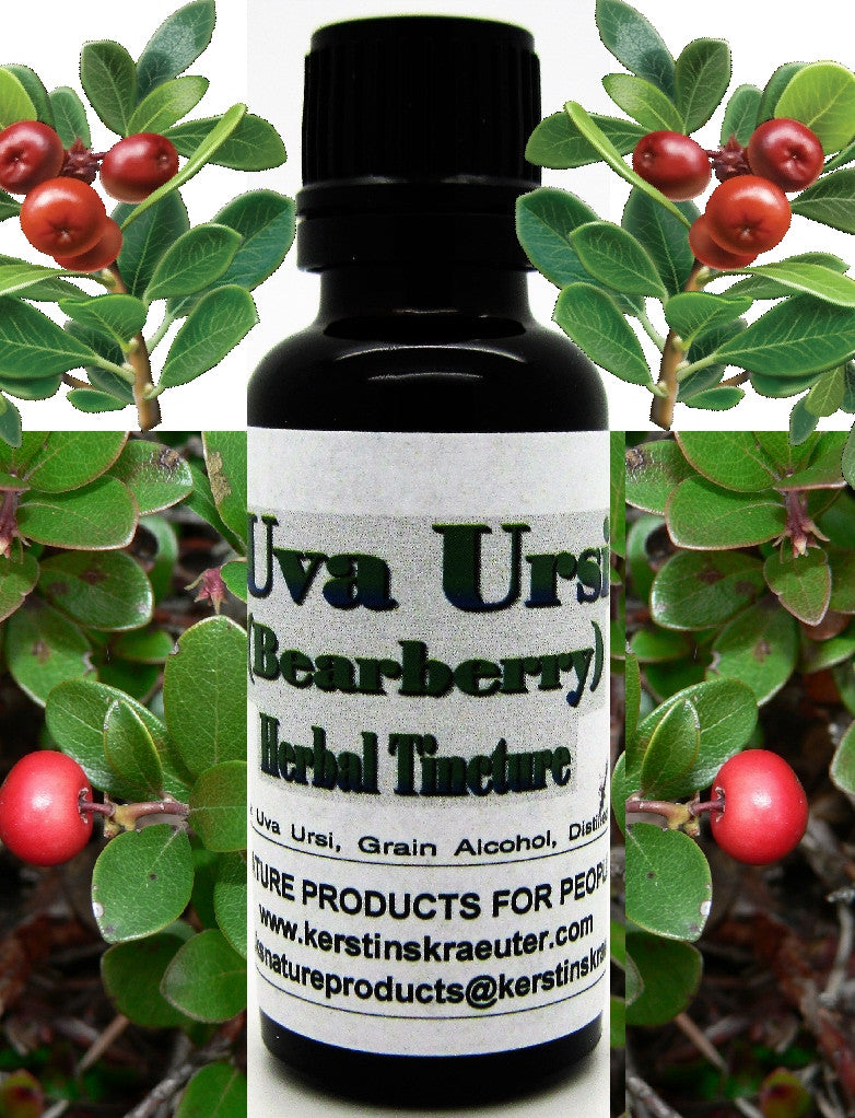 Uva Ursi (Bearberry) Herbal Tincture ~Multiple Sizes - Kerstin's Nature Products