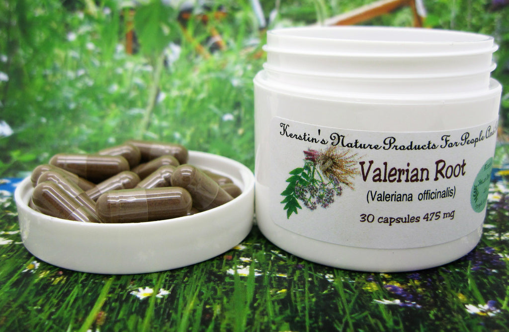 Valerian Root (Valeriana officinalis) 475 mg 30 Capsules - Kerstin's Nature Products