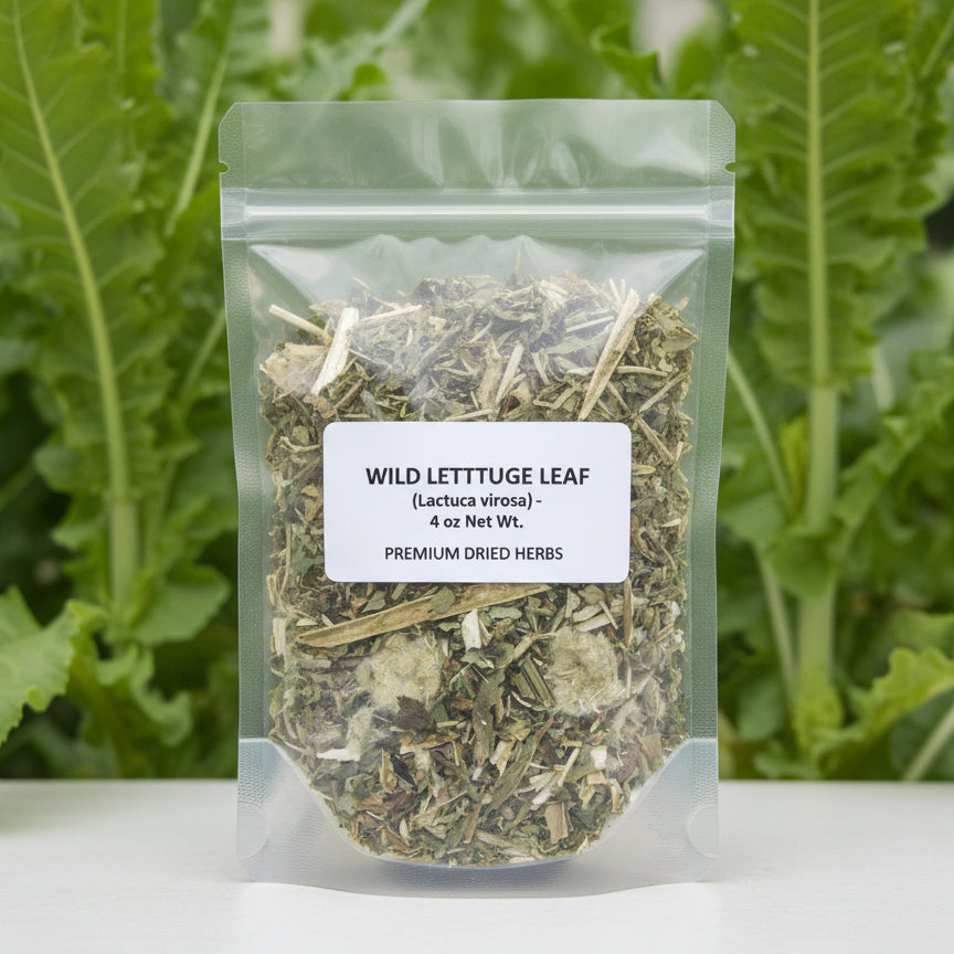 Wild Lettuce Leaf Dried Herb ~Multiple Sizes - Kerstin's Nature Products